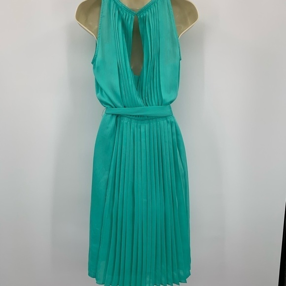 DVF Diane von Furstenberg Ria Crest green pleat shift dress chiffon new Small 4 - Picture 3 of 5